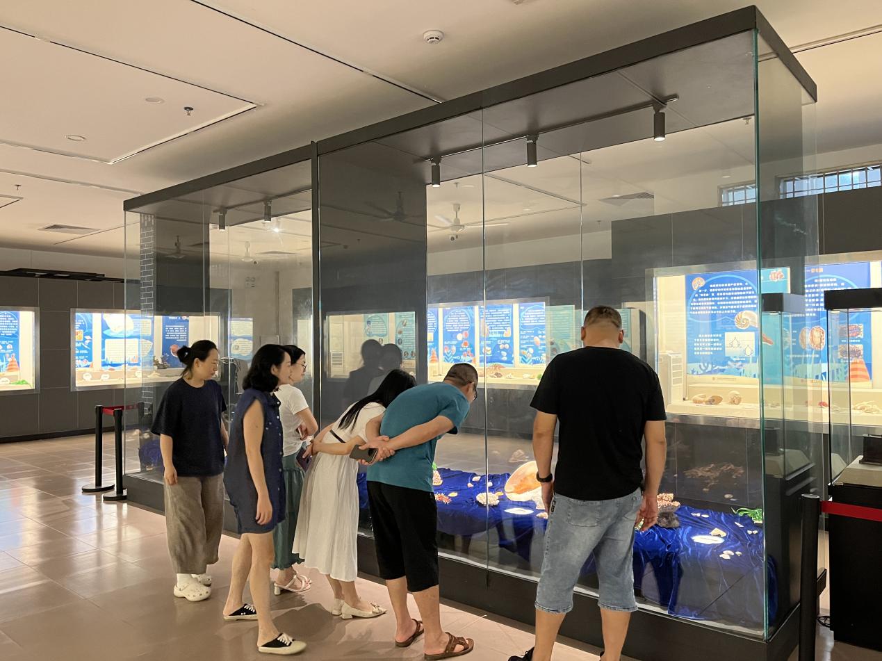 《背着房子去旅行——贝类动物的世界》实物展.docx_1